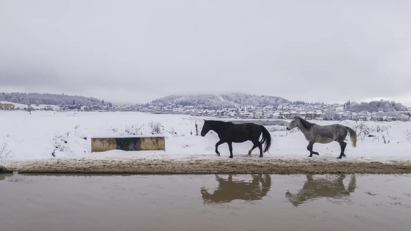 Бакуриани, Грузия