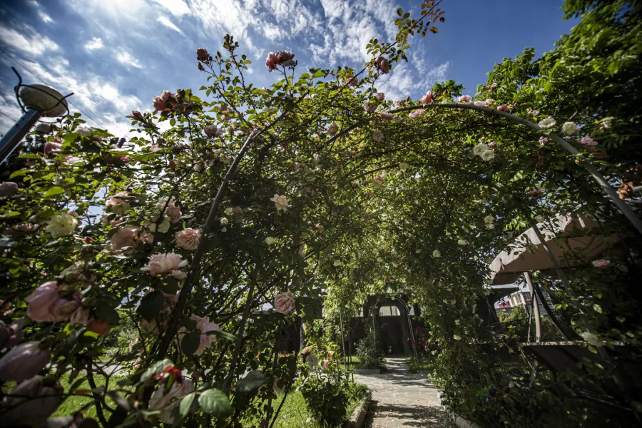 Chveni Ezo Boutique Hotel — фото 6