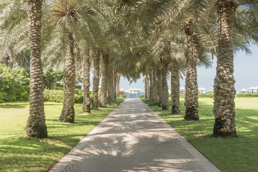 Coral Beach Resort — фото 4