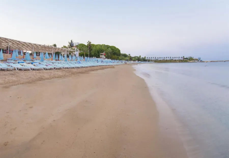 Lonicera Resort & Spa Hotel — фото 8