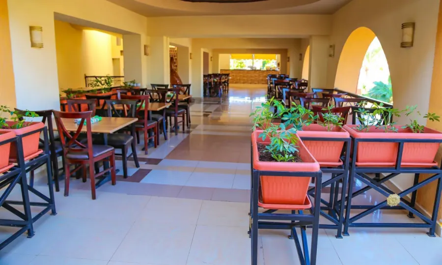 Rehana Royal Beach Resort, Aqua Park & Spa — фото 4