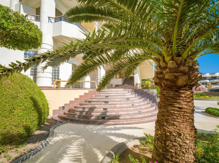 Seagull Beach Resort & Club — фото 8