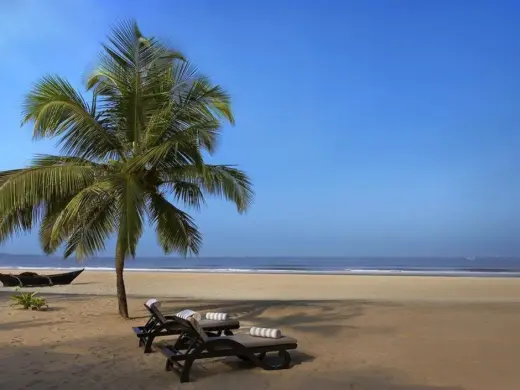 The St. Regis Goa Resort — фото 8