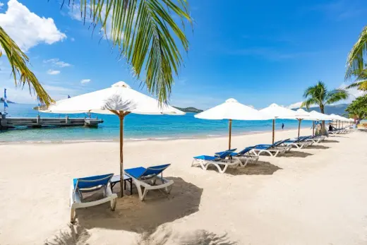 World Tea Resort Nha Trang — фото 7